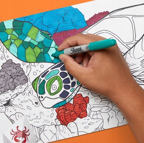 Marker Sharpie F Pastel 4 Kol 2065402 na Arena.pl