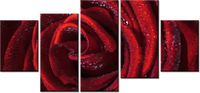 70CM 150CM OBRAZ 5 ELEM BORDOWA RÓŻA ŚCIENNY