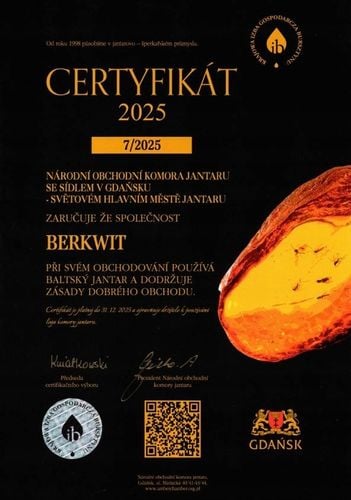 NASZYJNIK NA ZĄBKOWANIE BURSZTYN FASOLKA NIEPOLEROWANY na Arena.pl