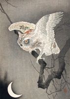 Plakat 67,5x95cm Scops Owl in Moonlight, Koson Japoński Vintage do Salonu
