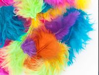 PIÓRKA  5-12 CM, 5 G EXOTIC DP CRAFT