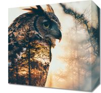 Obraz 30x30cm Sowi Duch