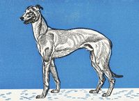 Plakat 18x13cm Chart 2, Moriz Jung Vintage do Salonu