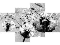 140CM 70 OBRAZ BIAŁE DMUCHAWCE SZARYM TLE ŚCIENNY