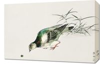 Obraz 60x40cm Turtle Dove, Kashu Japoński Vintage do Salonu