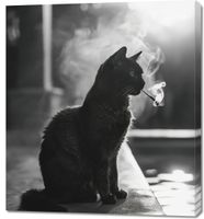 Obraz 90x100cm Kocia Przerwa