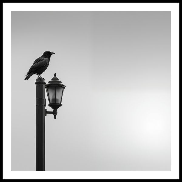 Plakat 90x90cm Samotny Postój Kruka zdjęcie 3