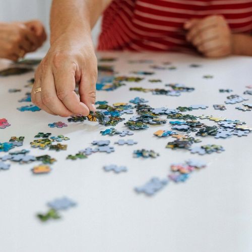 PUZZLE 1000 PREMIUM PLUS X-MAN 10889 na Arena.pl