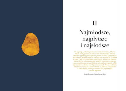Bałtyk. Morze śródziemne północnej Europy na Arena.pl