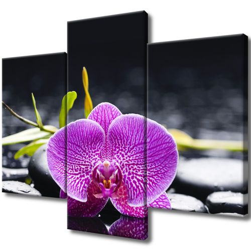 Foto-Obraz 90X70 Orchidea na Arena.pl