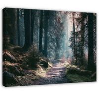 Obraz Na Płótnie Do Sypialni Salonu Las 100x70