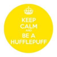 Przypinka Harry Potter