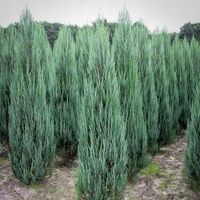 product-compare-57852375