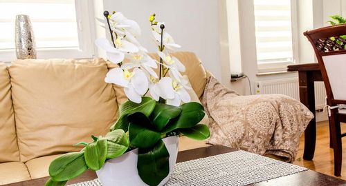 PODPÓRKA DO ROŚLIN STORCZYKÓW KWIATÓW 10szt 50cm na Arena.pl