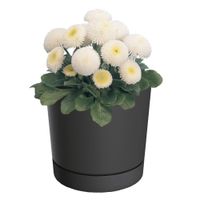 Doniczka z podstawką okrągła Ø12,8 cm matowa kolor antracytowy