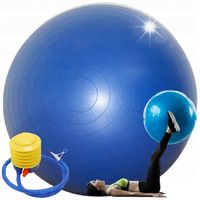 PIŁKA SPORTOWA FITNESS GYM BALL 65CM Z POMPKĄ