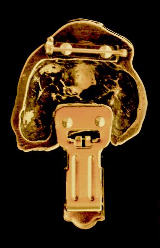 Cavalier King Charles Spaniel - klips - 1024 na Arena.pl