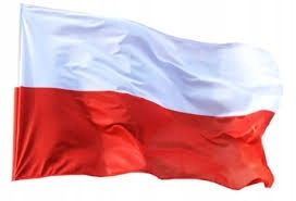 Kask ochronny budowlany hełm do pracy BHP różowy EN 397 Protekt Atra na Arena.pl