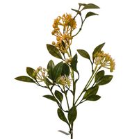 product-compare-61190576