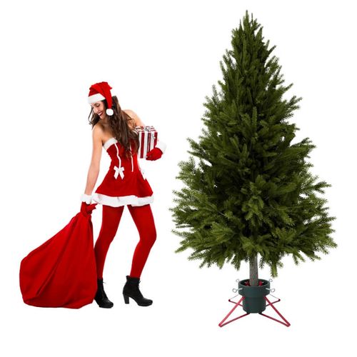 Stojak choinkowy duży pojemnik na wodę, do drzewa 2,5 m H5103GR-R na Arena.pl