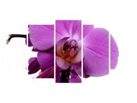 product-compare-58702527