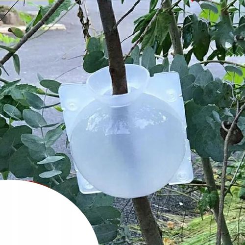 KULE Ukorzeniana SADZONKI Ukorzeniacz ROZMNAŻANIE Sad KLONOWANIE 10x na Arena.pl