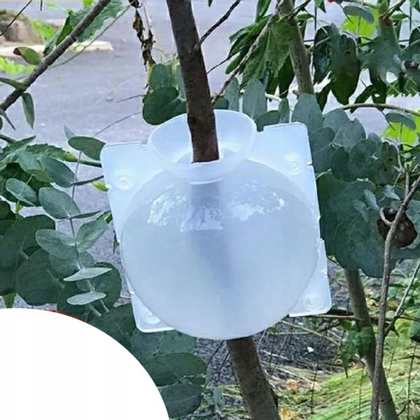 KULE Ukorzeniana SADZONKI Ukorzeniacz ROZMNAŻANIE Sad KLONOWANIE 10x zdjęcie 5