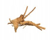 Korzeń RED MOOR WOOD wybierany losowo 15-25cm