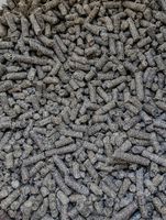 WYSŁODKI BURACZANE NIEMELASOWANE DLA KONI 25KG DLA ZWIERZĄT SUCHE