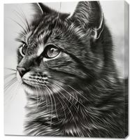 Obraz 90x100cm Kocie Wpatrzenie