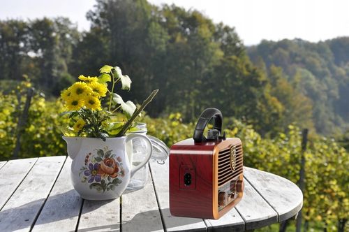 RADIO KUCHENNE PRZENOŚNE RETRO NA BATERIE SOLARNE BLUETOOTH ANTENA na Arena.pl