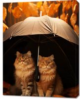 Obraz 70x90cm Jesienny Koci Schron