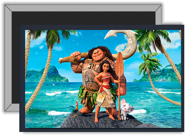 Magnes Vaiana zdjęcie 1