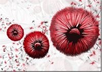 60CM 50CM OBRAZ ŚCIENNY CZERWONE DMUCHAWCE DRUK PŁÓTNO