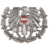 PRZYPINKA NA CZAPKE Z DASZKIEM