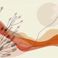 product-compare-59425687