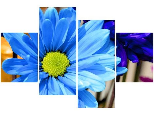 140CM 70 OBRAZ INTENSYWNE KOLORY JAMIE MCCAFFREY ŚCIENNY na Arena.pl