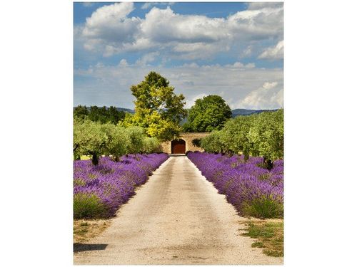40X50CM DROGA PROWANSJI OBRAZ na Arena.pl