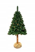 Sosna NATURALNA SZ na PNIU choinka sztuczna 180cm