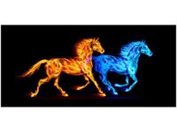 OBRAZ KONIE DWA ŻYWIOŁY