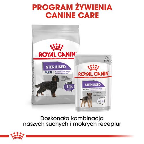 royal canin ccn maxi sterilised 12kg na Arena.pl