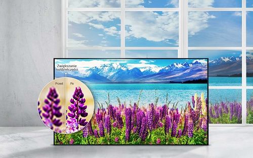 Telewizor 49" LG 49UJ701V na Arena.pl