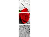 90X30CM RÓŻA DESKACH TRÓJ OBRAZ DRUK