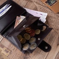 portfel męski skórzany z ochroną rfid paolo peruzzi t-14-br