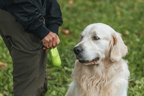 Woreczki bio na psie odchody GIZMO 400 sztuk na Arena.pl