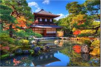 product-compare-58693784