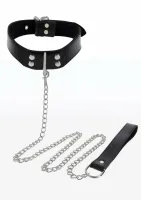 taboom elegant collar and chain leash - welurowa obroża z łańcuchem