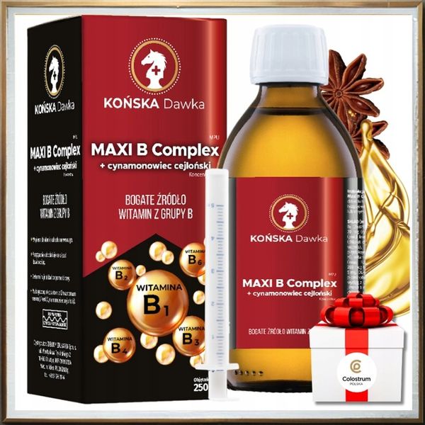 Witamina B B1B2 B3 KOŃSKA DAWKA Cynamonowiec cejloński MAXI B Complex zdjęcie 4