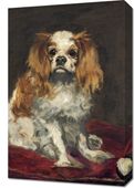 Obraz 40x60cm A King Charles Spaniel,  Edouard Manet do Salonu