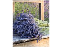 40X50CM BUKIET LAWENDY OBRAZ